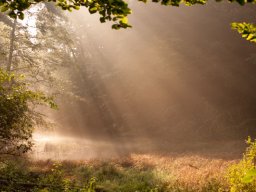 IMGP8653-Solstraaler-over-skovsoe-1